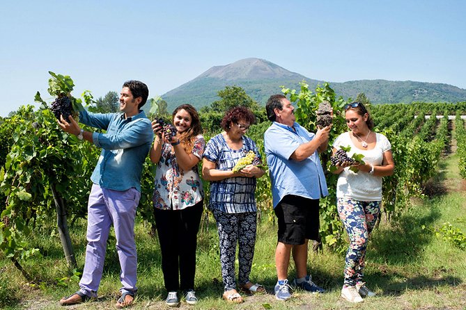 From Naples: Pompeii Private Tour With Lunch at the Slopes of Mt Vesuvius - Departure Location and Logistics