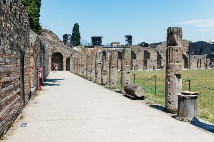 From Naples: Pompeii Ruins & Mount Vesuvius Day Tour - Activity and Booking Options