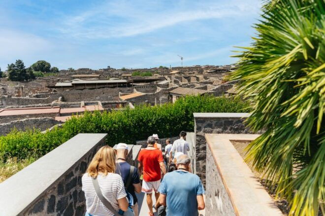 From Naples: Pompeii Ruins & Mount Vesuvius Day Tour - Itinerary and Highlights