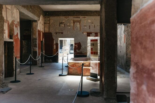 From Naples: Pompeii Ruins & Mount Vesuvius Day Tour - Review Summary