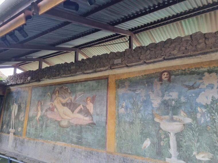 From Naples: Pompeii Ruins & Naples Walking Tour - Final Thoughts on the Tour