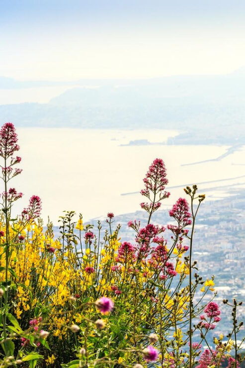 From Naples Port: Pompeii and Mt. Vesuvius Day Trip - Visiting Mt. Vesuvius