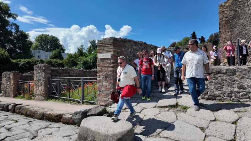 From Naples Port: Pompeii Guided Walking tour or Audioguide - What to Expect at Pompeii