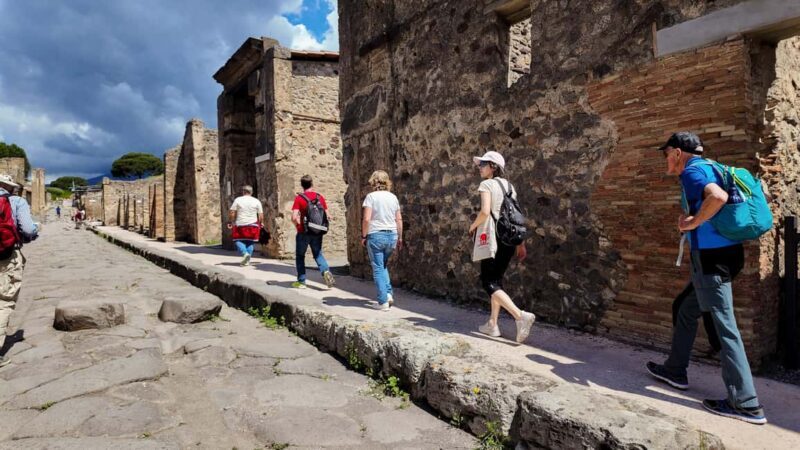 From Naples Port: Pompeii Guided Walking tour or Audioguide - The Transport and Logistics