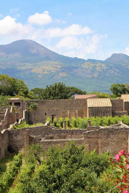 From Naples Port:Pompeii+Vesuvius Tour - Inclusions and Amenities