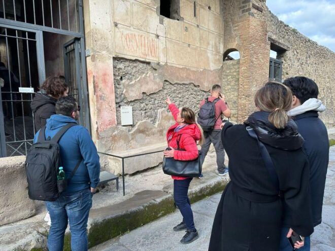 From Naples: Private Tour of Pompei, Sorrento & Positano - Important Information