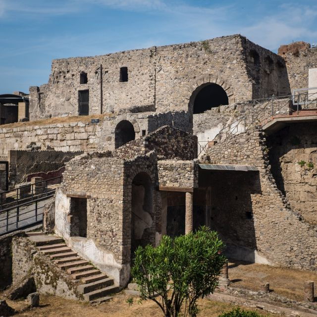From Naples: Private Tour of Pompeii - Cancellation Policy