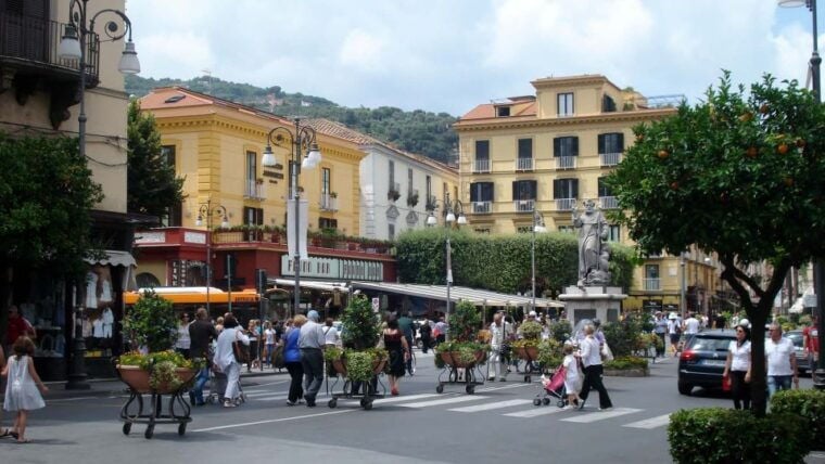 From Naples: Private Tour to Pompeii, Sorrento, and Positano - Who Would Love This Tour?