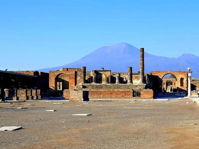 From Naples: Private Tour Vesuvius, Herculaneum and Pompeii - Inclusions