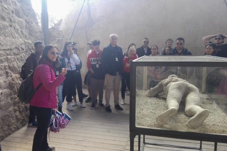 From Naples: Ruins of Pompeii Tour - Tour Experience Highlights in Pompeii