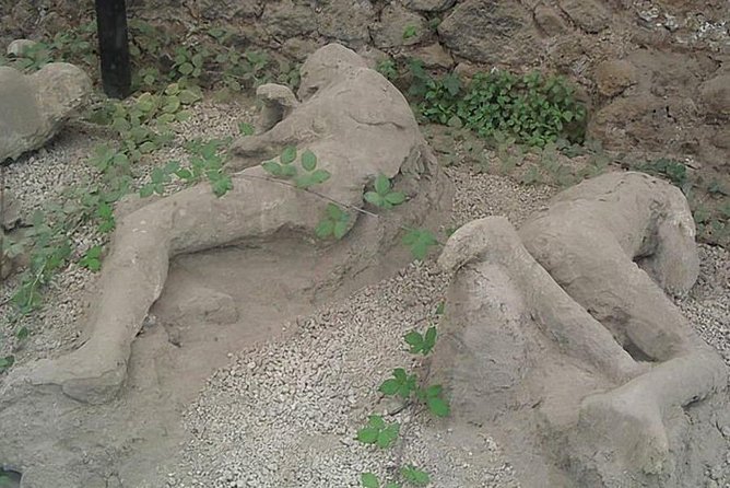 From Naples to Visit Pompeii Ruins (Halfday 4h) - Tour Duration and Inclusions