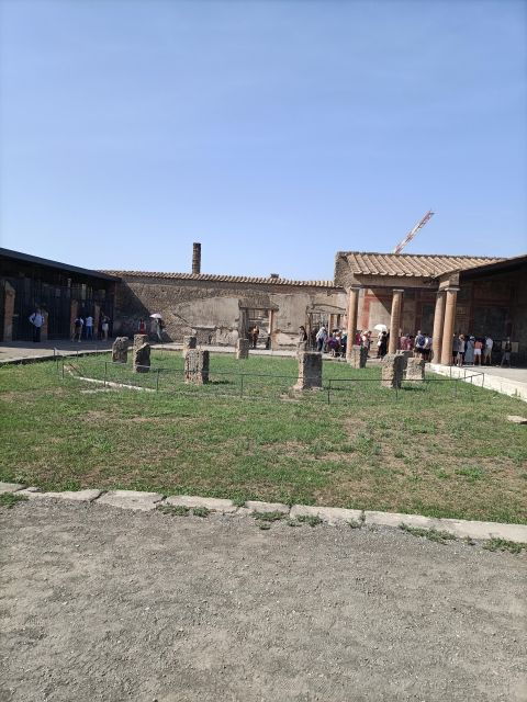 From Naples: Vesuvius Pompeii Guided Tour & Wine Tasting - Mount Vesuvius Visit