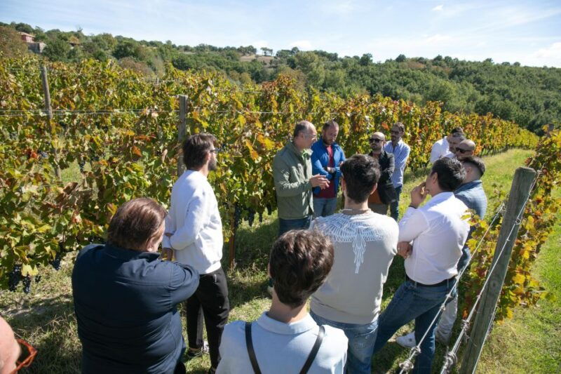 From Naples: wine experience and visit of Fontanarosa - FAQ