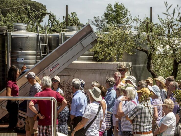 From Naples: Wine Tasting Tour on Vesuvius Volcano - Activity Details
