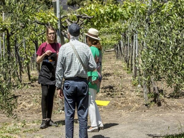 From Naples: Wine Tasting Tour on Vesuvius Volcano - Directions