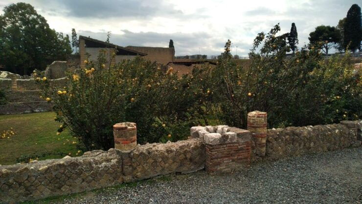 From Naples With 2hr Stop at Herculaneum Site and Back - Good To Know