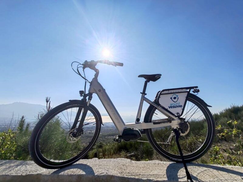 From Naples_Vesuvius National park bike Tour - Introduction