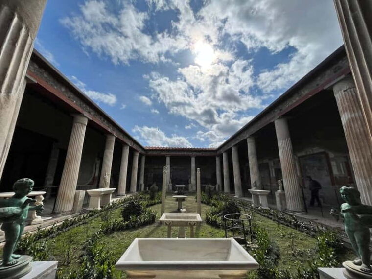 From Napoli: Driver and Skip the Line Guided Tour of Pompeii - Free Time and Additional Exploration