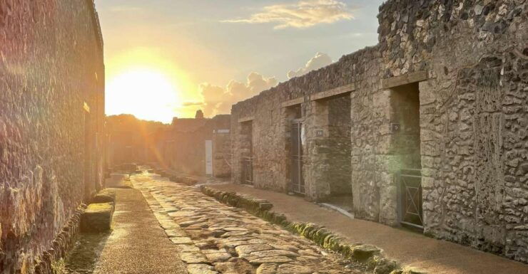 From Napoli: Guided Tour of Pompeii With Driver From Naples - Tour Details