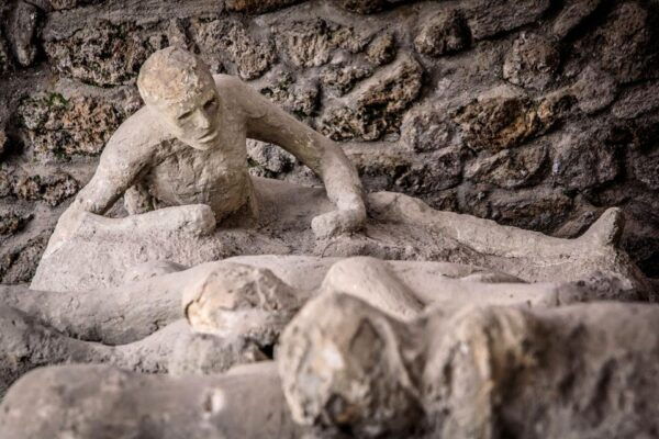 From Napoli: Guided Tour of Pompeii With Driver From Naples - Price & Duration