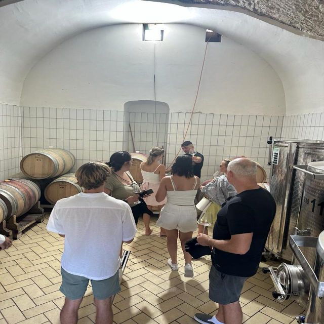 From Napoli: Private Luxury Tour Pompei ,Winery - Tour Details