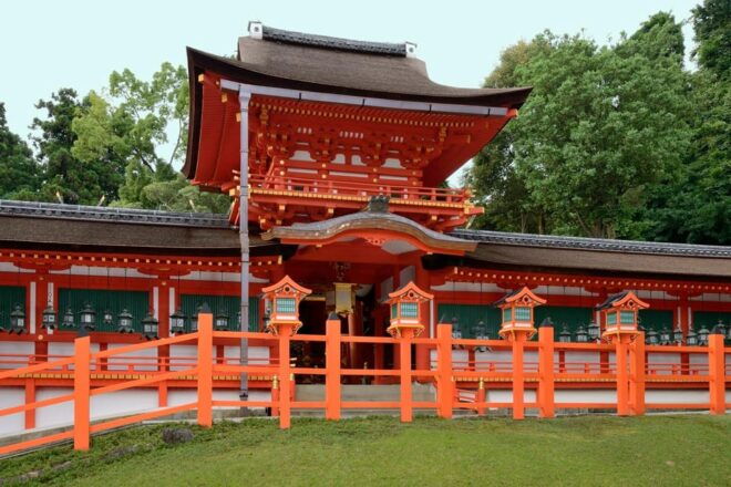 From Nara:Half-Day Bus Tour to UNESCO Heritage&Mt. Wakakusa - Important Traveler Information