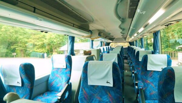 From Nara:Half-Day Bus Tour to UNESCO Heritage&Mt. Wakakusa - Departure and Meeting Point