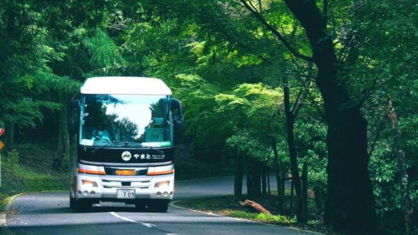 From Nara:Half-Day Bus Tour to UNESCO Heritage&Mt. Wakakusa - Unique Experiences in Nara