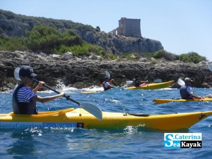 From Nardò: Porto Selvaggio Kayak Tour and Cold Springs - Tour Highlights