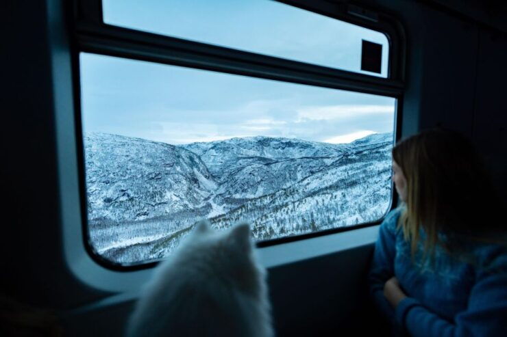 From Narvik: Round-Trip Arctic Train Ride on Ofoten Railway - Experience Highlights