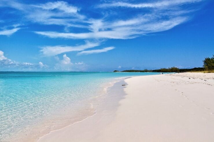 From Nassau: Exuma Swimming Pigs, Sharks and More - Activity Details