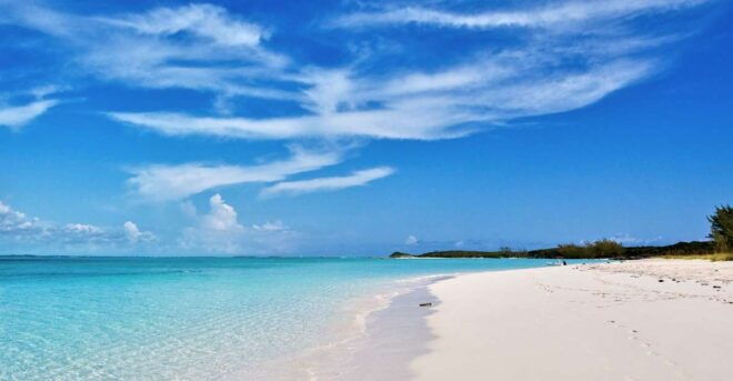 From Nassau: Exuma Swimming Pigs, Sharks and More - All-Inclusive Experience