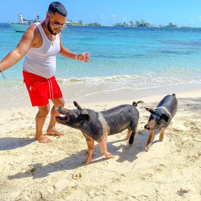 From Nassau: Swim with Pigs Safari - What to Expect from the Swim with Pigs Safari