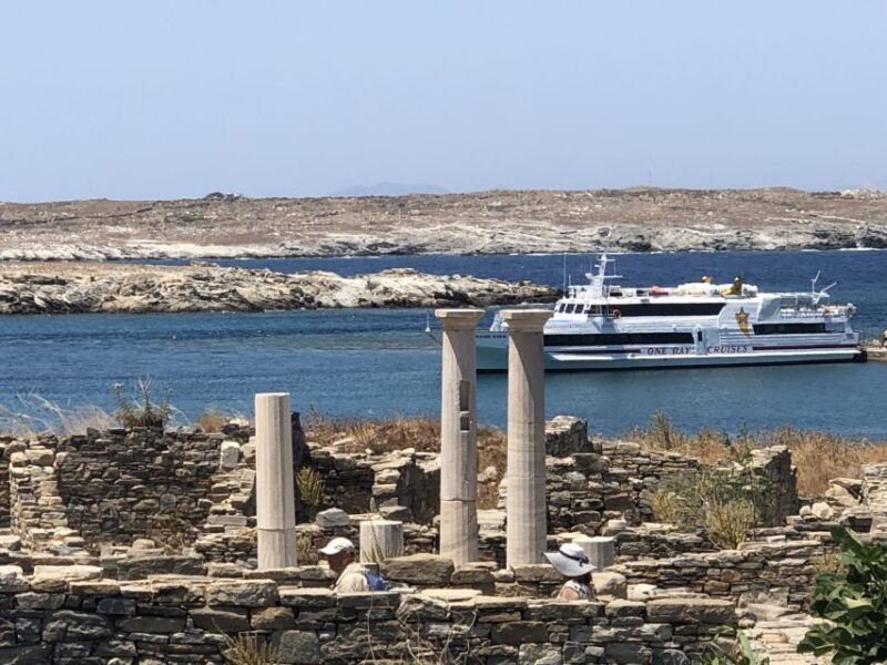 From Naxos: Delos and Mykonos Day Trip with Licensed Guide - An In-Depth Look at the Tour Experience