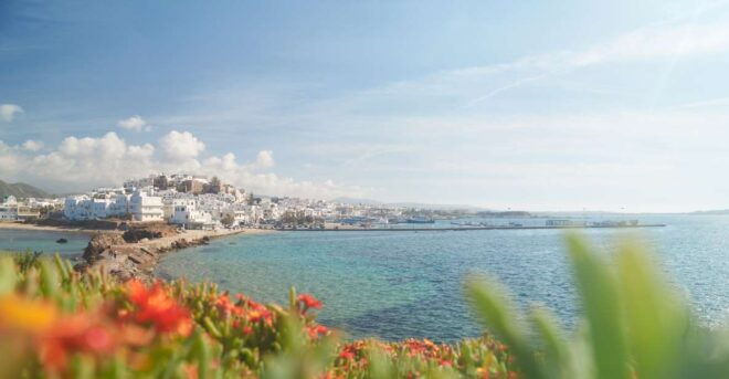 From Naxos: Delos and Mykonos Full-Day Trip by Catamaran - Booking and Cancellation Policy