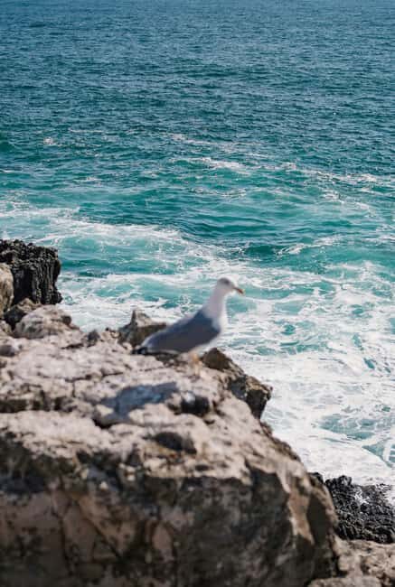 From Nazaré: Private Tour to Worlds Biggest Waves - An In-Depth Look at the Tour Experience
