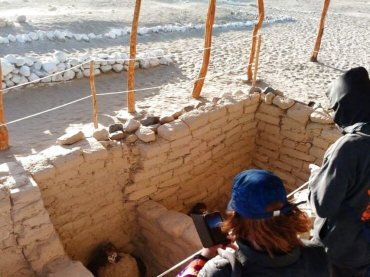 From Nazca: Chauchilla Cemetery Tour - Tour Highlights