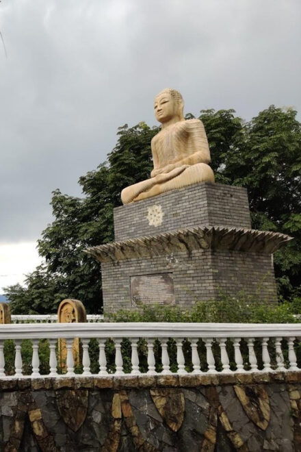 From Negombo: Ambuluwawa Tower & Tea Factory,Kandy Day Trip - Participant Details