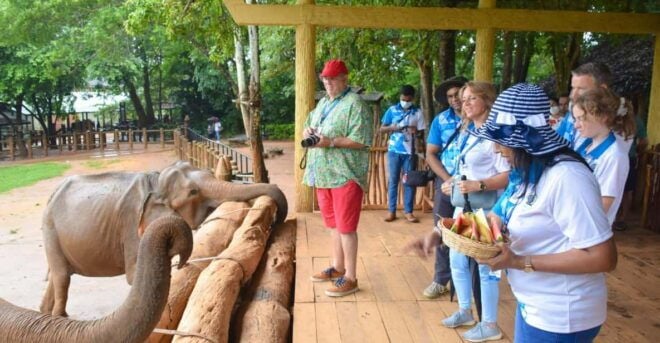 From Negombo: Kandy Transfer With Elephant Orphanage Visit - Exploring the Herbal Garden
