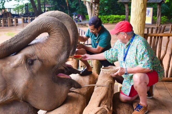 From Negombo: Kandy Transfer With Elephant Orphanage Visit - Tour of Giragama Tea Factory