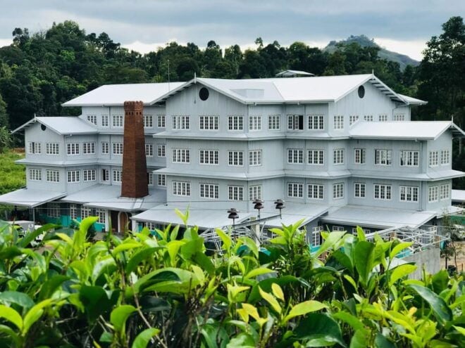 From Negombo: Kandy Transfer With Elephant Orphanage Visit - Inclusions and Benefits