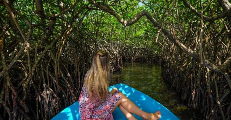 From Negombo: Madu River Safari & Turtle Hatchery Visit - Inclusions