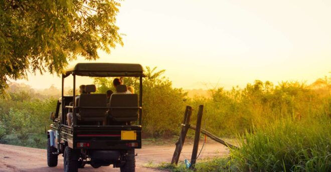From Negombo: Minneriya National Park Safari Tour - Itinerary Information