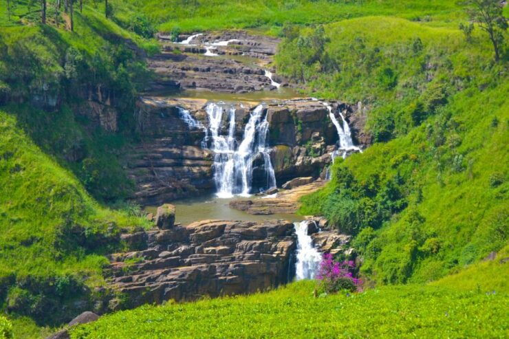 From Negombo or Colombo: 5-Day Central Highlands Tour - Day 3: Nuwara Eliya - Horton Plains