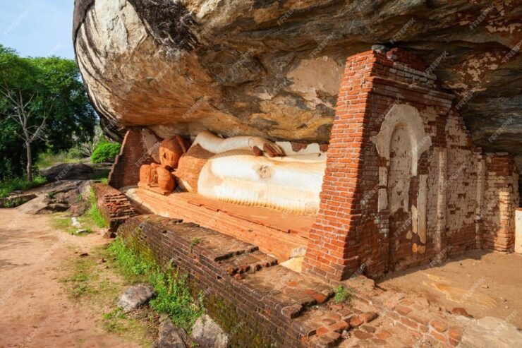 From Negombo: Pidurangala Rock and Minneriya National Park - Overview of the Trip