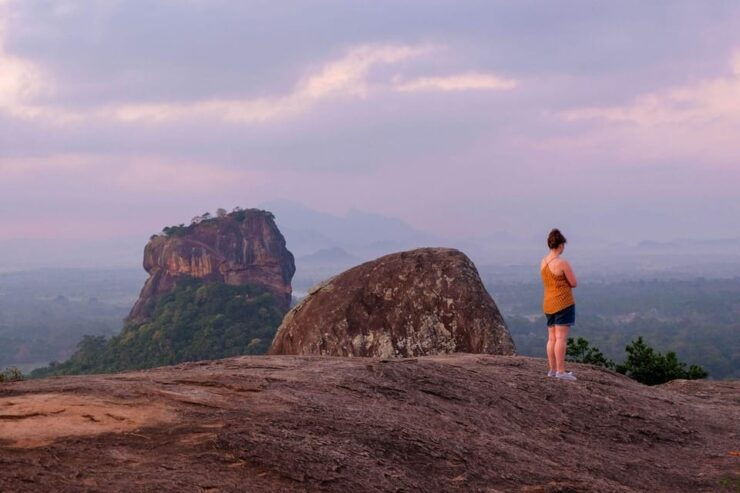 From Negombo: Pidurangala Rock and Minneriya National Park - Key Highlights