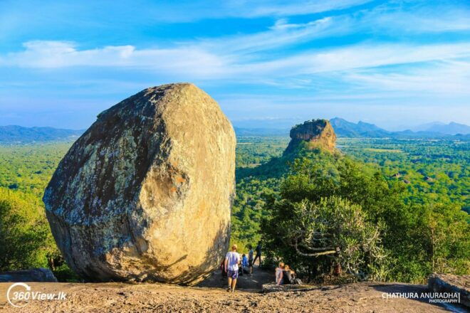 From Negombo: Pidurangala Rock and Minneriya National Park - Essential Tips