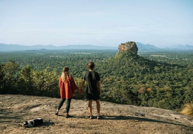 From Negombo: Pidurangala Rock and Minneriya National Park - Wildlife Etiquette
