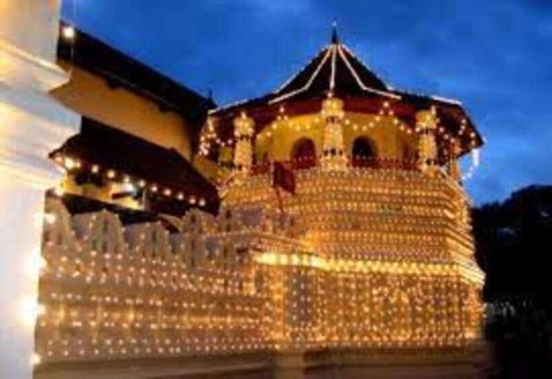 From Negombo : Pinnawala & Tea Factory & Kandy Full Day Trip - Summary of Authentic Experience