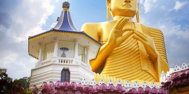 From Negombo: Sigiriya and Dambulla Day Trip and Safari - Who Is This Tour Best For?